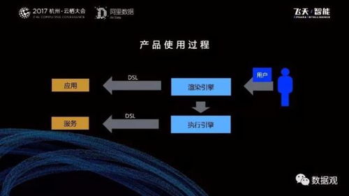 阿里數(shù)據(jù)服務(wù)產(chǎn)品開發(fā)及大數(shù)據(jù)體系實(shí)錄