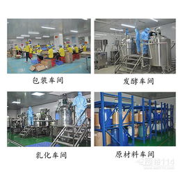 數(shù)據(jù)處理服務(wù) 驅(qū)動(dòng)現(xiàn)代企業(yè)數(shù)字化轉(zhuǎn)型的核心引擎